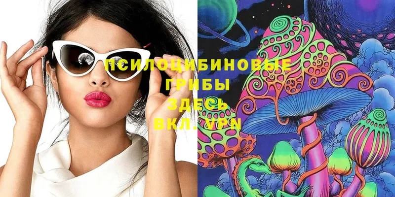 Галлюциногенные грибы Cubensis  omg как зайти  Кашин 