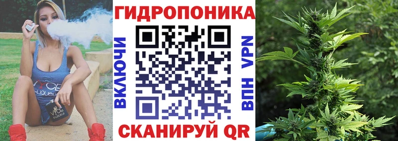 Шишки марихуана марихуана  Кашин 
